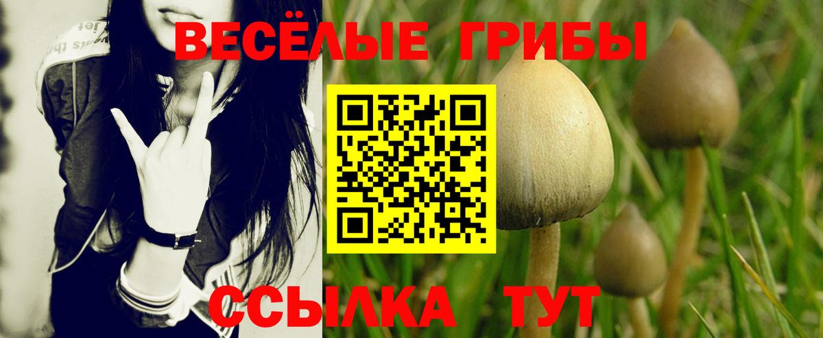 Арзамас  Галлюциногенные грибы Cubensis  Вход с VPN 